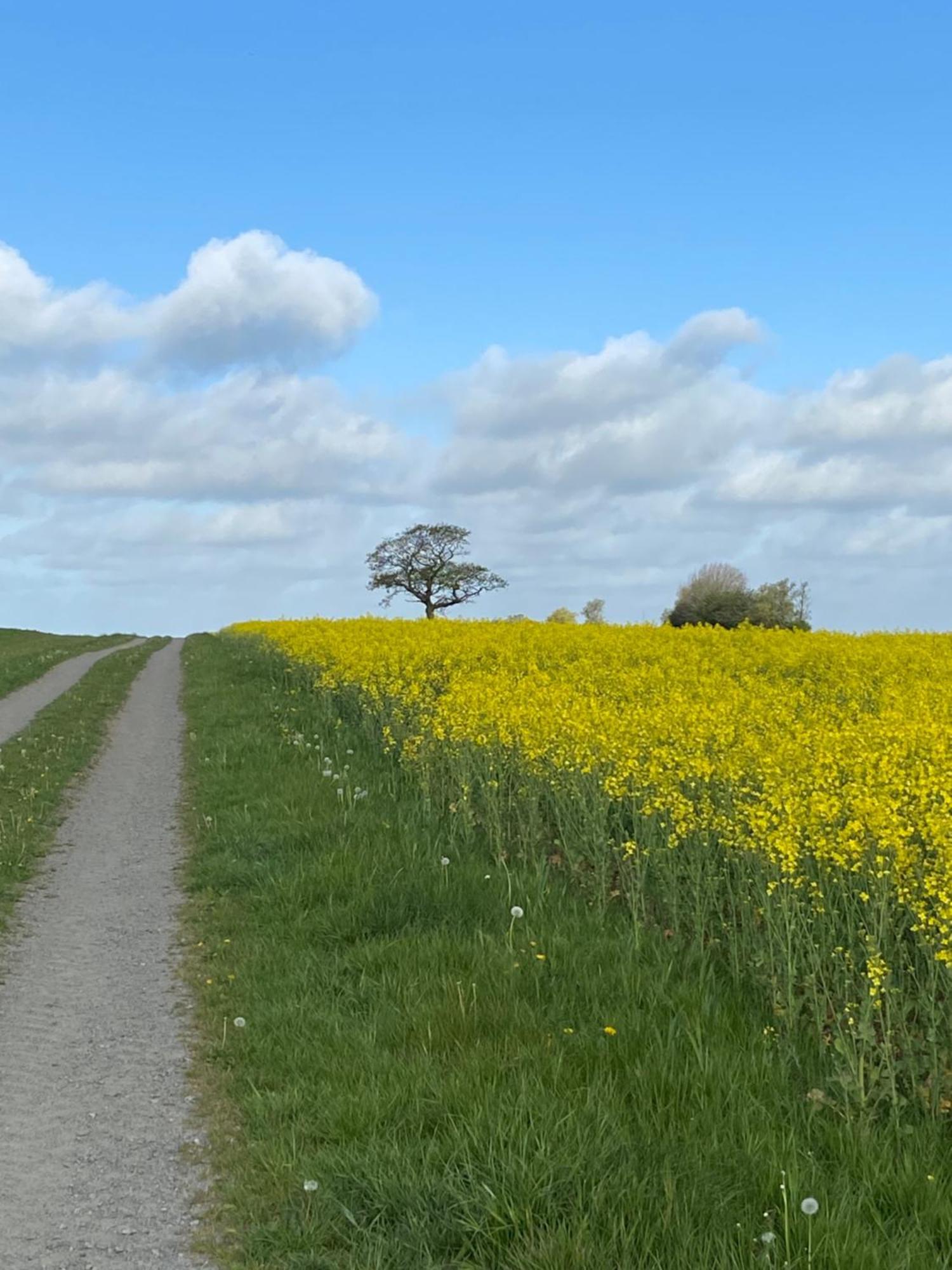 Blomstertantens Hus Trelleborg Exterior foto